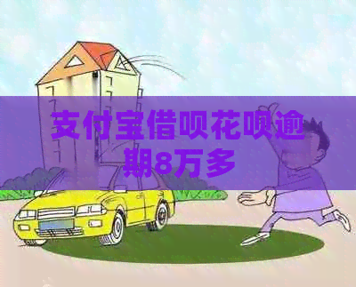 信用卡信用卡白条逾期8万多