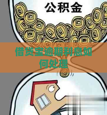 借贷宝逾期利息如何处理