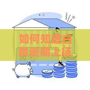 如何知道白条逾期上需要注意什么