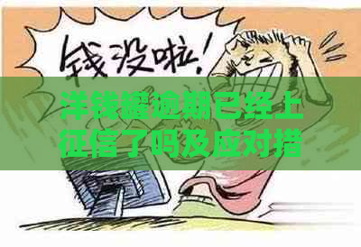 洋钱罐逾期已经上了吗及应对措施分享