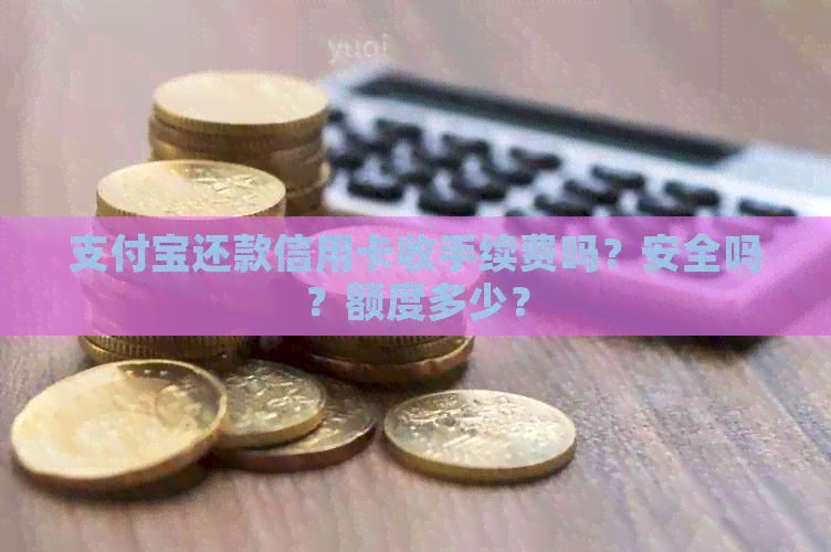 支付宝还款信用卡收手续费吗？安全吗？额度多少？