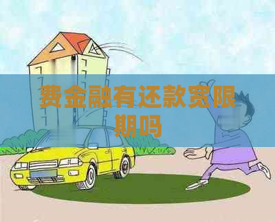 费金融有还款宽限期吗
