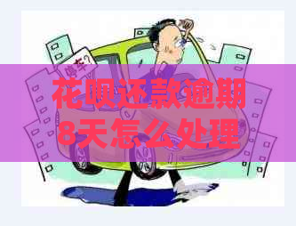白条还款逾期8天怎么处理