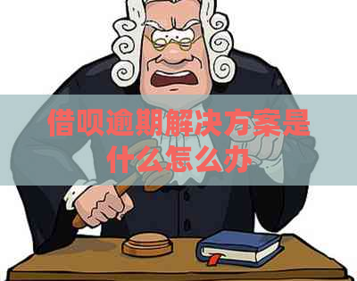 信用卡逾期解决方案是什么怎么办