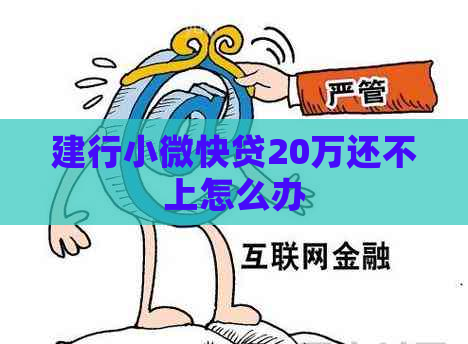 建行小微快贷20万还不上怎么办