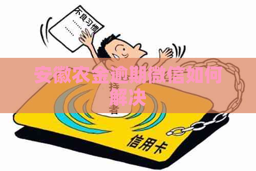 安徽农金逾期微信如何解决