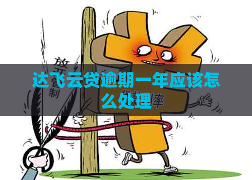 达飞云贷逾期一年应该怎么处理