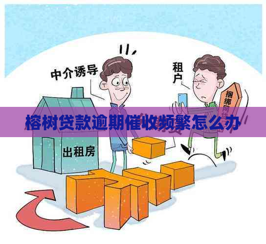 榕树贷款逾期频繁怎么办
