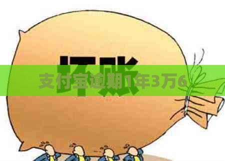 信用卡逾期1年3万6