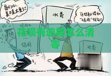 白条有逾期怎么清零