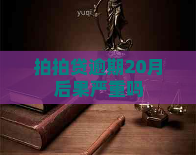 逾期20月后果严重吗