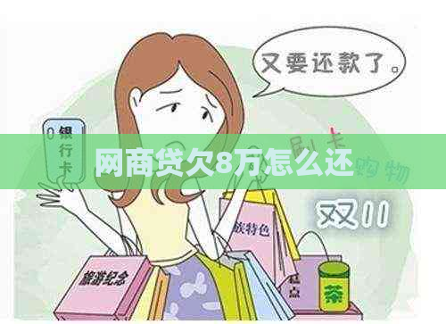 白条贷欠8万怎么还