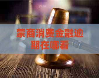 蒙商消费金融逾期在哪看