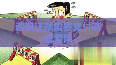 逾期还款需要支付哪些费用