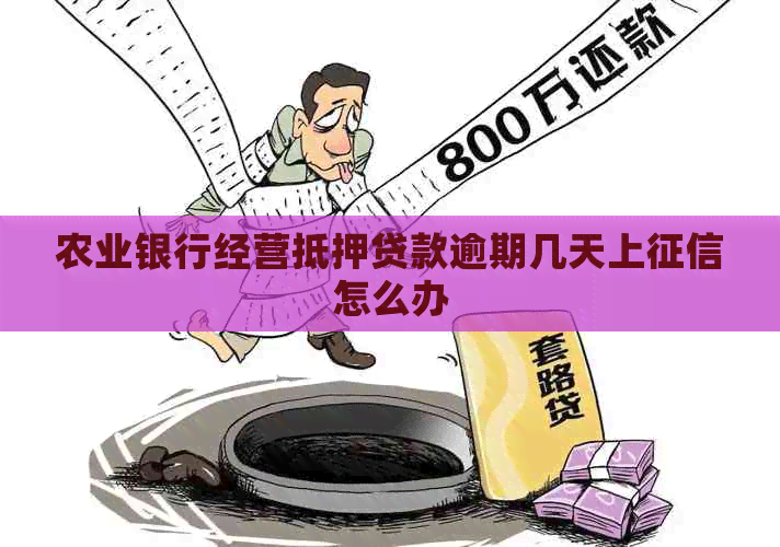 农业银行经营抵押贷款逾期几天上怎么办