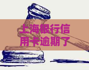 上海银行信用卡逾期了十几天