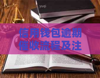 信用钱包逾期流程及注意事项