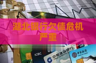 湖北银行欠债危机严重
