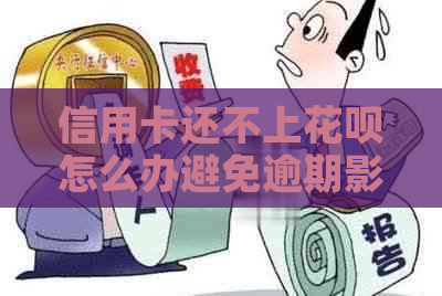 信用卡还不上白条怎么办避免逾期影响信用