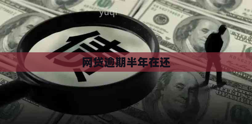 网贷逾期半年在还