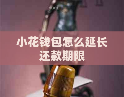 小花钱包怎么延长还款期限