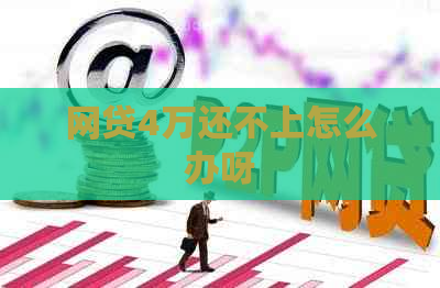 网贷4万还不上怎么办呀