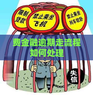 费金融逾期走流程如何处理