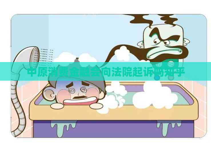 中原消费金融会向法院起诉吗知乎