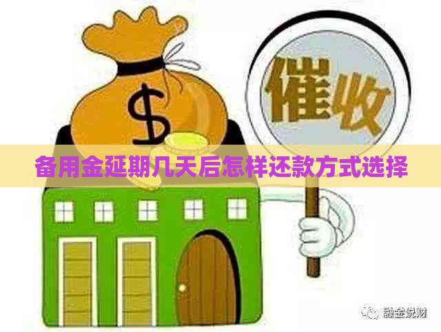 备用金延期几天后怎样还款方式选择