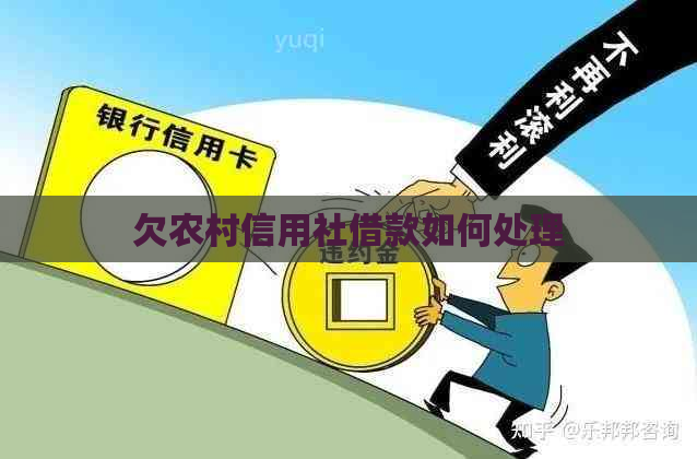 欠农村信用社借款如何处理