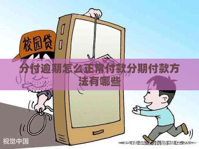 分付逾期怎么正常付款分期付款方法有哪些