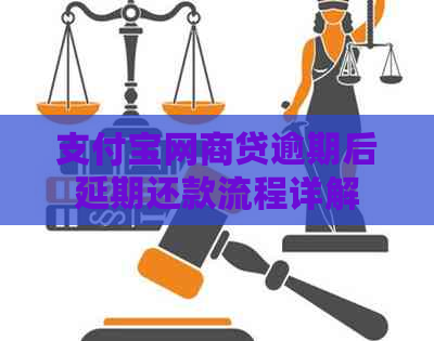 信用卡白条贷逾期后延期还款流程详解