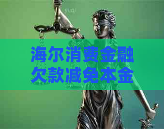 海尔消费金融欠款减免本金技巧大揭秘