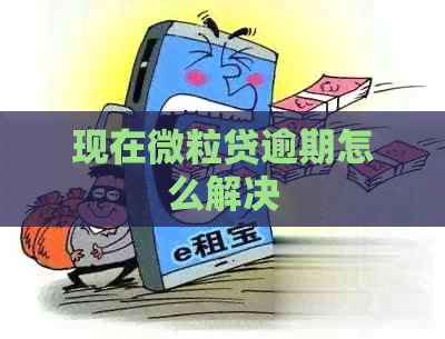 现在微粒贷逾期怎么解决