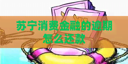 苏宁消费金融的逾期怎么还款