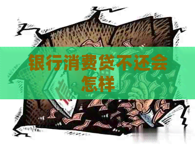 银行消费贷不还会怎样