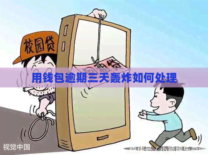用钱包逾期三天轰炸如何处理