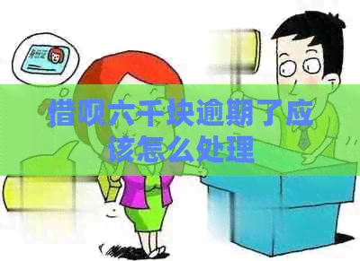 信用卡六千块逾期了应该怎么处理