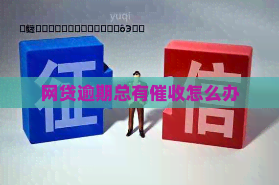 网贷逾期总有怎么办