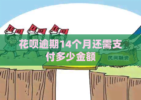 白条逾期14个月还需支付多少金额