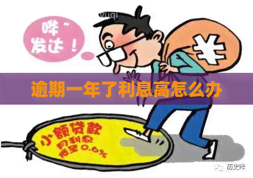 逾期一年了利息高怎么办