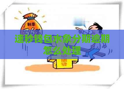 速秒钱包水象分期逾期怎么处理