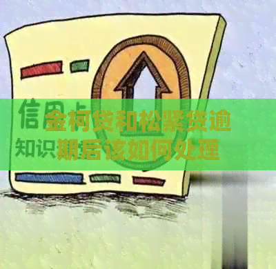 金柯贷和松紧贷逾期后该如何处理