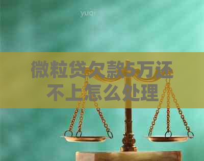 微粒贷欠款5万还不上怎么处理