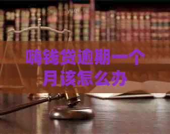 嗨钱贷逾期一个月该怎么办