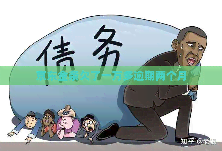 京东金条欠了一万多逾期两个月