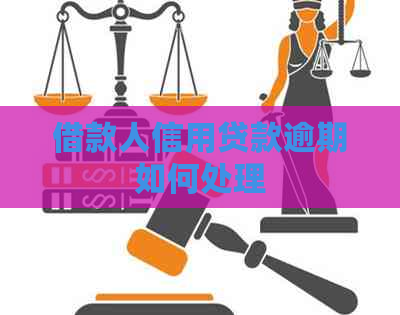 借款人信用贷款逾期如何处理