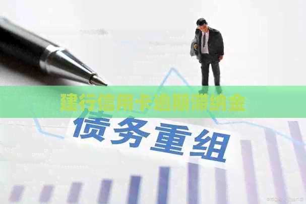 建行信用卡逾期滞纳金