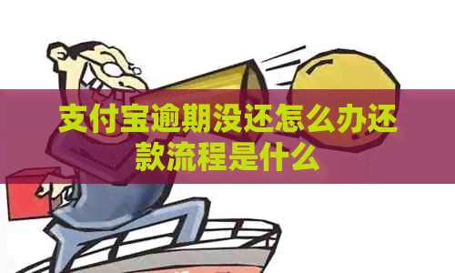 信用卡逾期没还怎么办还款流程是什么