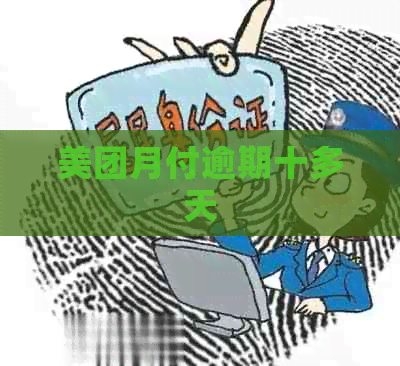 美团月付逾期十多天
